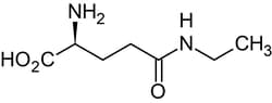Abcam&nbsp;Theanine (L-theanine), Amino acid analog of glutamine, 1G