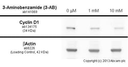 Abcam&nbsp;3-Aminobenzamide (3-AB), PARP inhibitor, 100MG