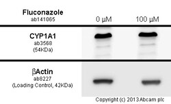 Abcam&nbsp;Fluconazole, Cytochrome P450 inhibitor, 50MG