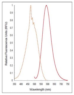 Abcam&nbsp;P4HB Inhibitor Screening Assay Kit.