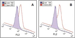 Abcam&nbsp;Cellular Superoxide Detection Assay Kit.