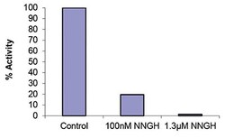 Abcam&nbsp;MMP8 Inhibitor Screening Assay Kit (Fluorometric).