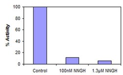 Abcam&nbsp;MMP2 Inhibitor Screening Assay Kit (Fluorometric).