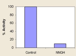 Abcam&nbsp;MMP12 Inhibitor Screening Assay Kit (Fluorometric).