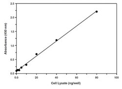 Abcam&nbsp;SREBP-2 Transcription Factor Assay Kit.