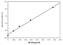 Abcam Human NFkB p50 Transcription Factor Assay Kit.