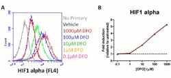 Abcam HIF1a + PDK1 Hypoxia Response Human Flow Cytometry Kit.
