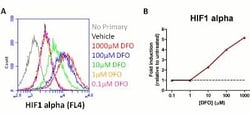 Abcam HIF1a + BNIP3 Hypoxia Response Human Flow Cytometry Kit.