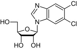 Abcam&nbsp;DRB (Benzimidazole), Casein kinase II inhibitor, 10MG