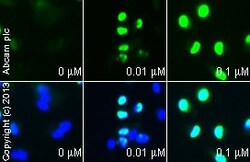 Abcam&nbsp;Scriptaid, HDAC inhibitor, 25MG