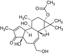 Abcam&nbsp;Prostratin, PKC activator, 500UG