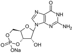 Abcam Guanosine 3',5'-cyclic monophosphate sodium salt (cGMP), cyclic nucleotide second messenger, 250MG