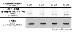Abcam Cryptotanshinone, STAT3 inhibitor, 10MG