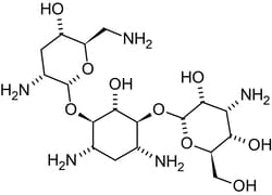 Abcam Tobramycin, free base, Ribosomal translation inhibitor., Quantity: