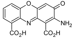 Abcam&nbsp;Cinnabarinic acid, Endogenous mGlu4 selective agonist, 50MG