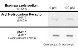 Abcam Esomeprazole sodium, H+/ K+-ATPase (proton pump) inhibitor, 250MG
