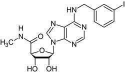 Abcam IB-MECA, A3 agonist, 5MG, Quantity: Each of 1