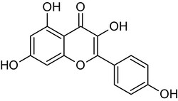 Abcam Kaempferol, Phytoestrogen, 50MG