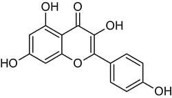 Abcam Kaempferol, Phytoestrogen, 10MG