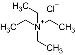 Abcam Tetraethylammonium chloride (TEA), non-selective K+ channel blocker.