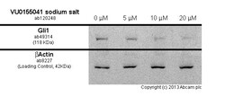 Abcam&nbsp;VU0155041 sodium salt, PAM for mGluR4, 50MG