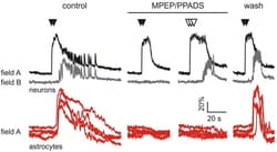 Abcam&nbsp;MPEP hydrochloride, mGlu5 antagonist, 50MG