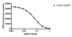 Abcam&nbsp;Catalase Activity Assay Kit (Immunocapture).