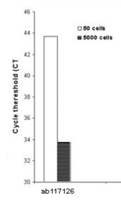 Abcam&nbsp;Bisulfite Conversion Kit - Whole Cell.