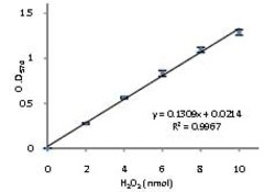 Abcam Catalase Activity Assay Kit (Colorimetric/Fluorometric).