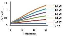 Abcam&nbsp;Thioredoxin Reductase Assay Kit (Colorimetric).