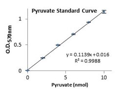 Abcam&nbsp;Pyruvate Kinase Assay Kit.