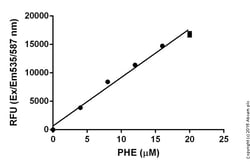 Abcam Phenylalanine Assay Kit.