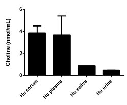 Abcam Choline/Acetylcholine Assay Kit.