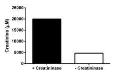Abcam Creatinine Assay Kit.
