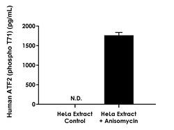 Abcam Human ATF2 (phospho T71) ELISA Kit, 1 x 96 Tests