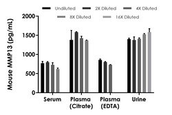 Abcam Mouse MMP13 ELISA Kit- Extracellular, 1 x 96 Tests