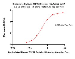 ACROBiosystems Biotinylated Mouse TNFR2 / CD120b / TNFRSF1B Protein, His,Avitag