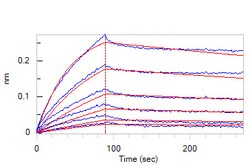 ACROBiosystems Anti-SARS-CoV-2 Spike RBD Antibody, Mouse IgG1 (AS106) (Beta | Buy Online | ACROBiosystems | Fisher Scientific
