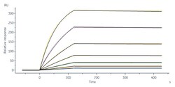 ACROBiosystems Anti-SARS-CoV-2 Spike RBD Antibody, Chimeric mAb, Human IgG1 (AM110) (Delta Specific) | Buy Online | ACROBiosystems | Fisher Scientific