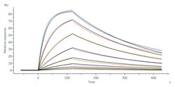 ACROBiosystems Anti-SARS-CoV-2 Spike RBD Antibody, Mouse IgG1 (AS110) (Delta Specific) (MALS verified) | Buy Online | ACROBiosystems | Fisher Scientific