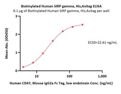 ACROBiosystems Biotinylated Human SIRP gamma / CD172g Protein, His,Avitag
