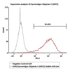 ACROBiosystems CHO/Cynomolgus Glypican-3 (GPC3) Stable Cell Line Development Service