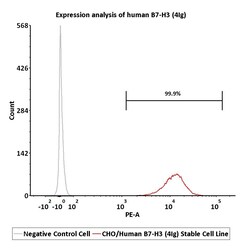 ACROBiosystems CHO/Human B7-H3 (4Ig) Stable Cell Line Development Service,