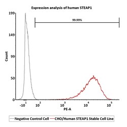 ACROBiosystems CHO/Human STEAP1 Stable Cell Line Development Service, Quantity: