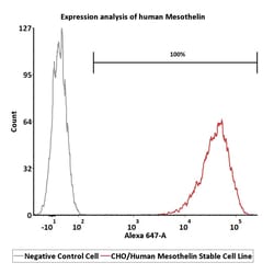 ACROBiosystems CHO/Human Mesothelin Stable Cell Line Development Service