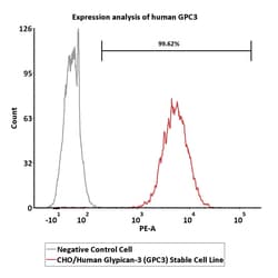 ACROBiosystems&nbsp;CHO/Human Glypican-3 (GPC3) Stable Cell Line Development Service