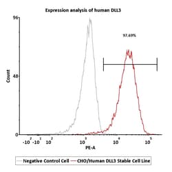 ACROBiosystems&nbsp;CHO/Human DLL3 Stable Cell Line Development Service