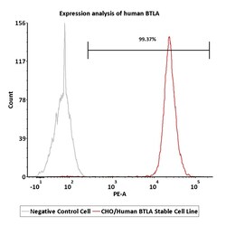 ACROBiosystems CHO/Human BTLA Stable Cell Line Development Service, Quantity: