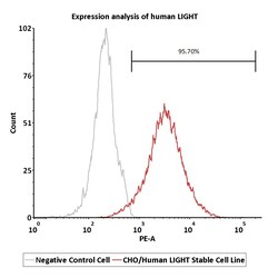 ACROBiosystems CHO/Human LIGHT Stable Cell Line Development Service, Quantity: