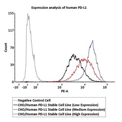 ACROBiosystems CHO/Human PD-L1 Stable Cell Line (Medium Expression) Development Service